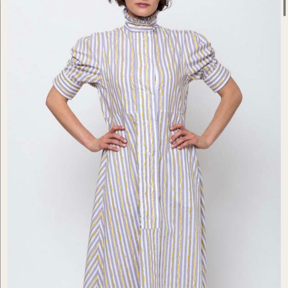 Thierry Colton Venetia Poplin Dress Medium Worn Once